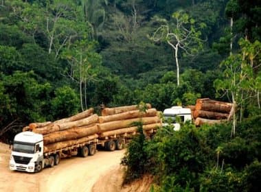 Governo altera regras para incentivar exploração da Amazônia