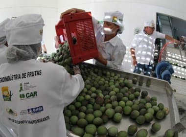 Fábrica de processamento de frutas que auxilia 235 famílias do sudoeste baiano é inaugurada