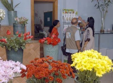Venda de flores deve ter redução em 60% das floriculturas do país no Dia de Finados