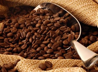 Pesquisadores brasileiros descobrem proteínas analgésicas em café