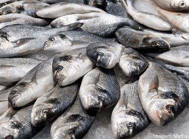 Mesmo sem provas de relação com doença, venda de peixes cai 70% em Salvador