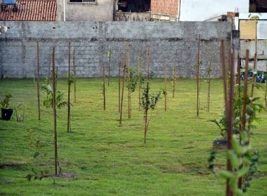 Terreno com lixo e entulho no Stiep dá lugar a primeiro pomar urbano de Salvador