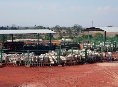 JBS volta a produzir carne bovina em sete frigoríficos no Mato Grosso do Sul