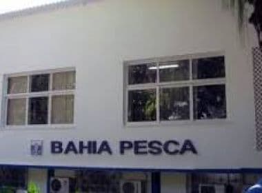 Após gastar recursos com obras, governo quer mudar estatuto da Bahia Pesca