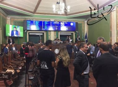 Câmara aprova criação de diretoria de defesa dos animais na prefeitura de Salvador