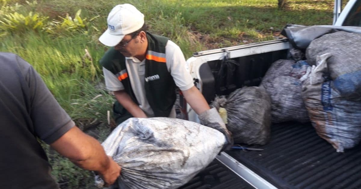 Salinas das Margaridas: Operação apreende 5,6 toneladas de crustáceos