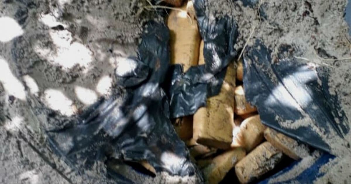Polícia encontra 250 kg de maconha enterrados em Camaçari 