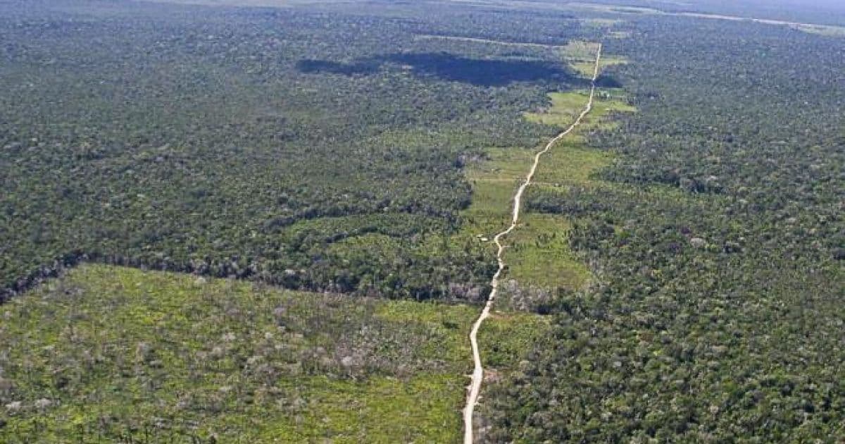 Ministério alemão diz que vai suspender investimento de R$ 155 milhões na Amazônia