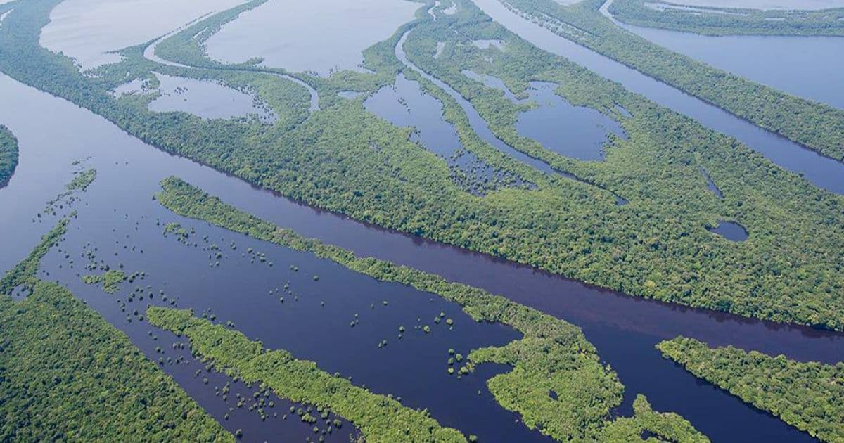PEC que governo enviou ao Congresso propõe acabar com Fundo Amazônia