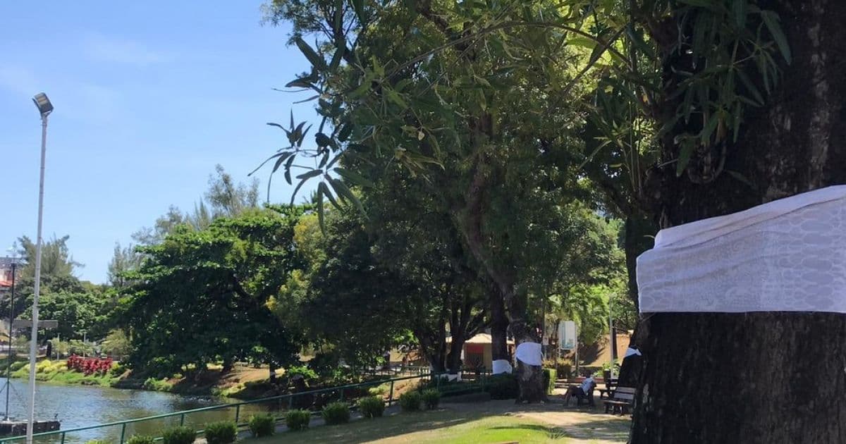 Contra intolerância, religiosos amarram tecidos sagrados em árvores de Salvador