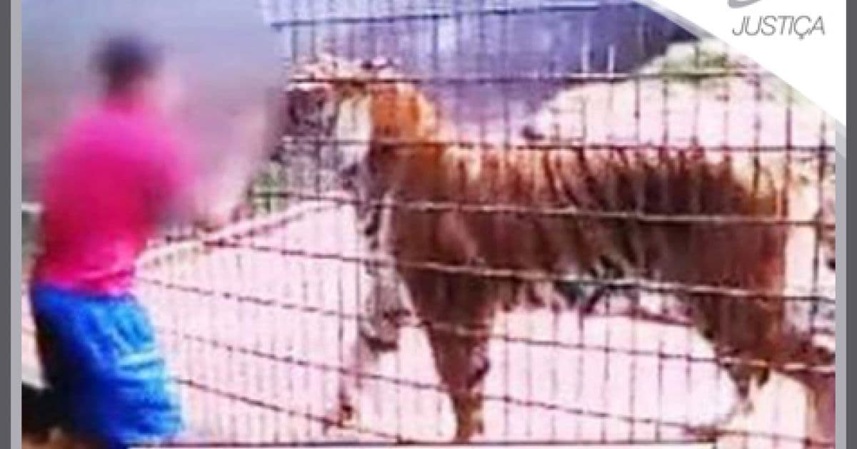 Destaque em Justiça: Pai de menino atacado por tigre em zoológico é condenado a prisão
