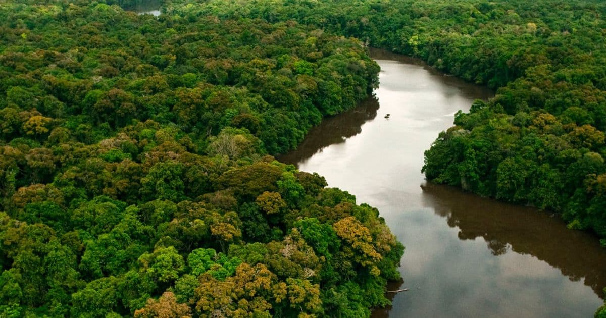 Bolsonaro determina criação de Conselho da Amazônia; Mourão será coordenador
