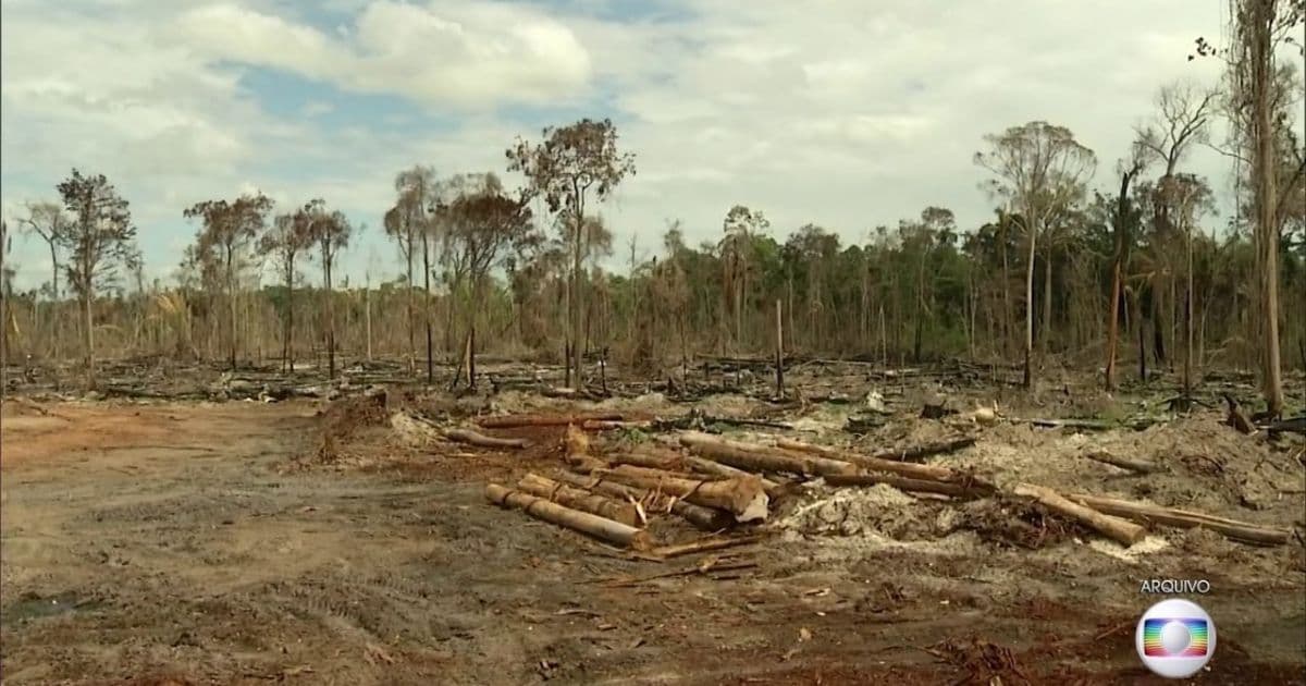 Aumenta número de áreas sob alerta de desmatamento na Amazônia 