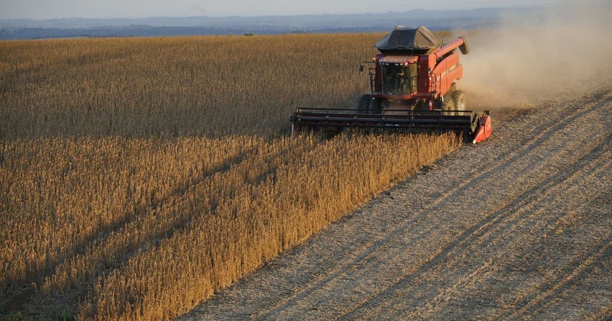 China passará a importar soja dos EUA; Brasil é principal exportador