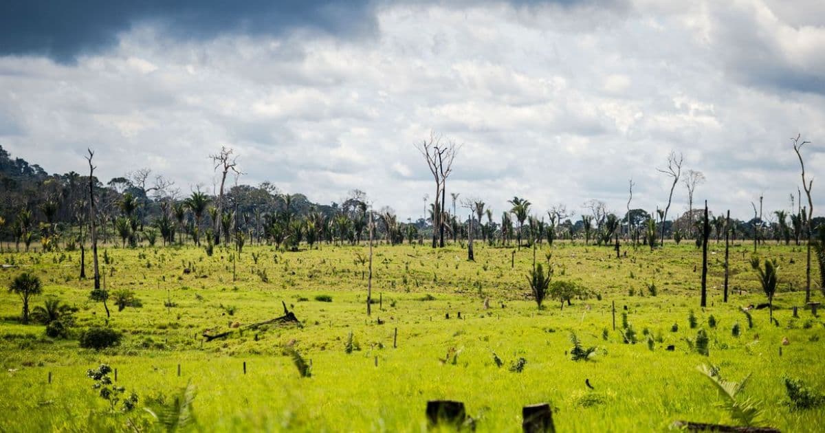 Bolsonaro autoriza uso das Forças Armadas contra desmatamento ilegal na Amazônia