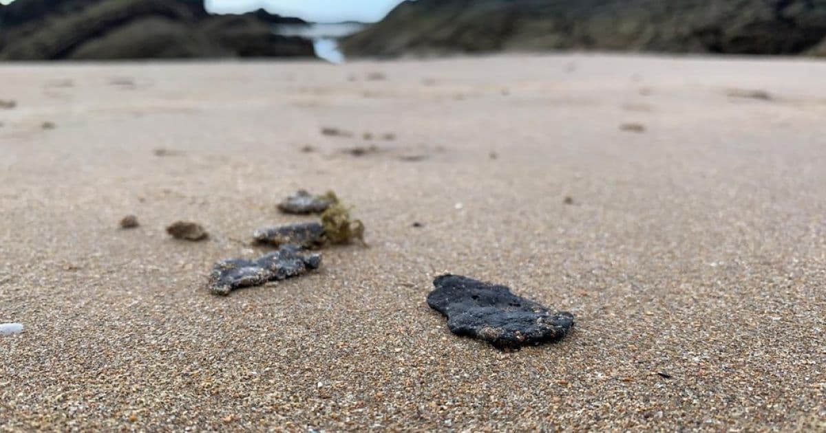 Manchas de petróleo cru voltam a ser encontradas no litoral de Pernambuco