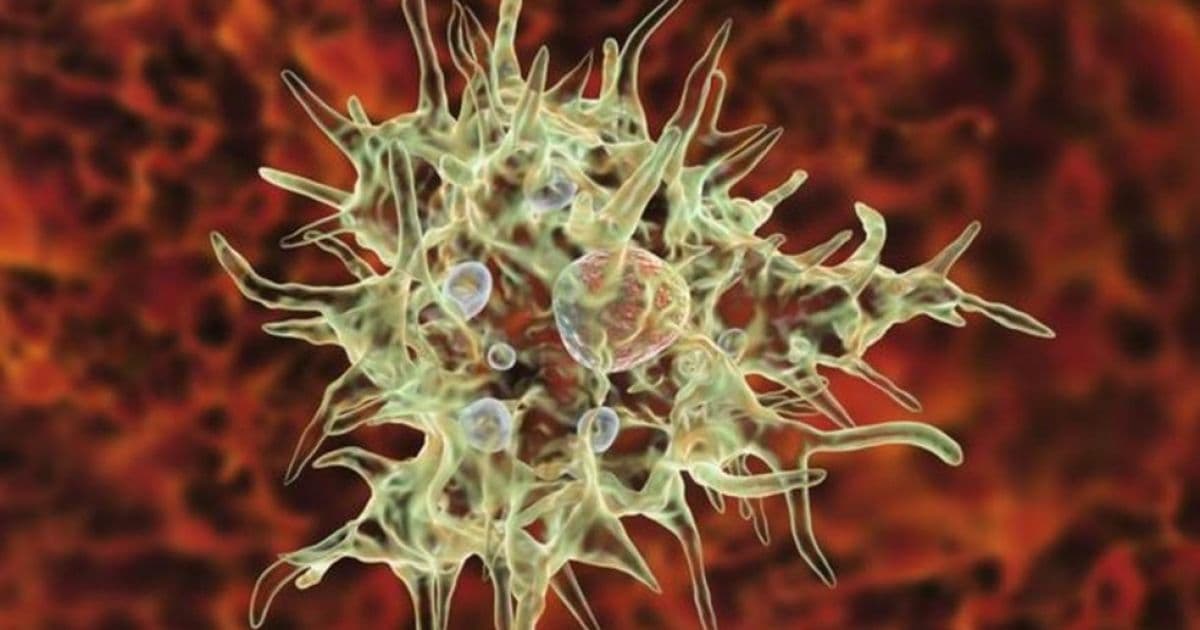 Homem infectado por ameba 'comedora de cérebro' causa alerta nos EUA