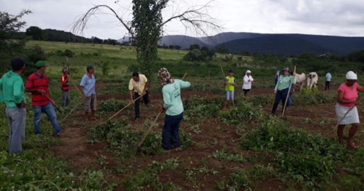 Bahia é estado que mais receberá verba do governo em benefícios para agricultura familiar