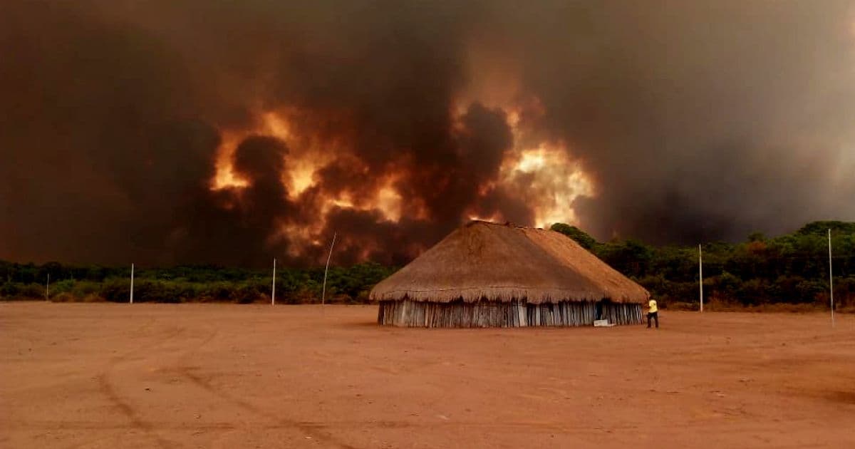 Número de queimadas na Amazônia alcança novo recorde e já supera marca de 2010