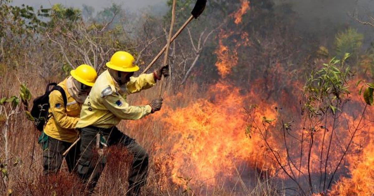 Brasil registra mais de 200 mil focos de queimadas em 2020; nº é o maior na década