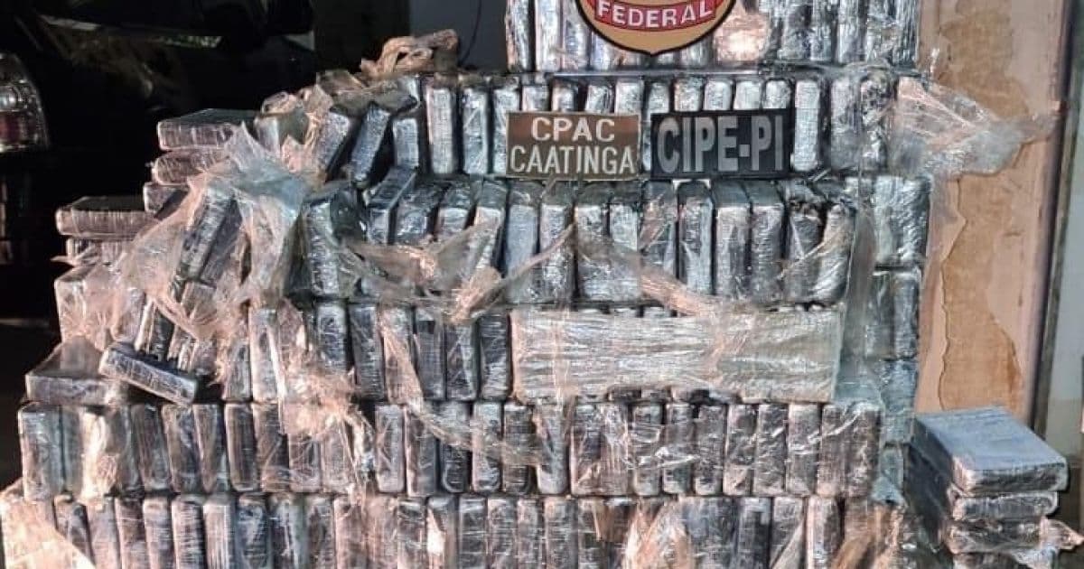 PF apreende mais de 930 kg de cocaína que estavam sendo transportadas para Salvador