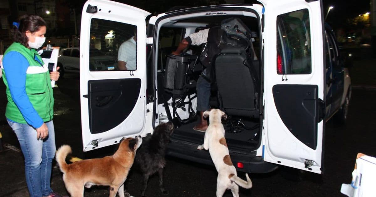 Prefeitura de Salvador acolhe pessoas em situação de rua que têm animais de estimação
