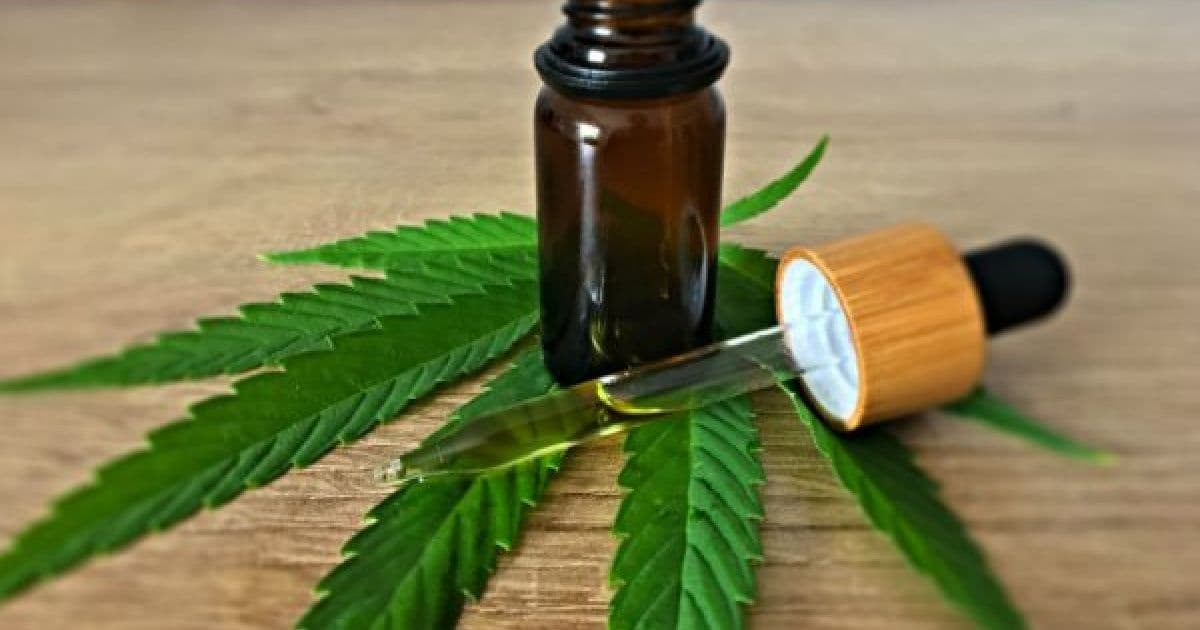 Projeto na Câmara de Salvador propõe criar política de uso de cannabis para fins medicinais