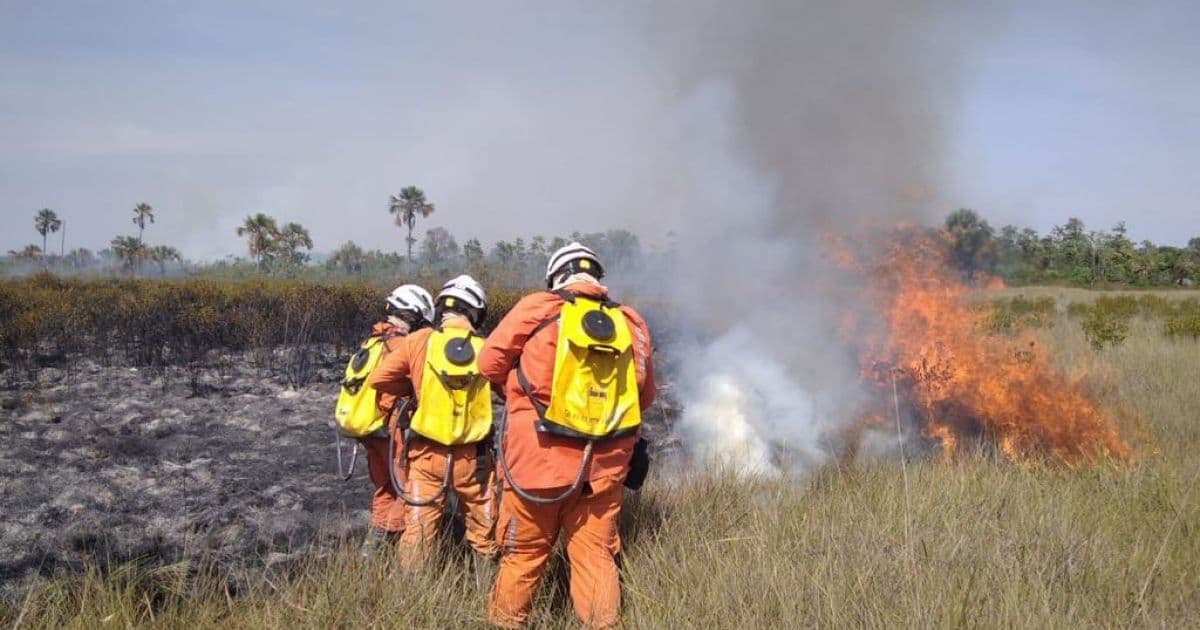 Aviões do governo do Estado reforçam combate aos incêndios florestais na Bahia