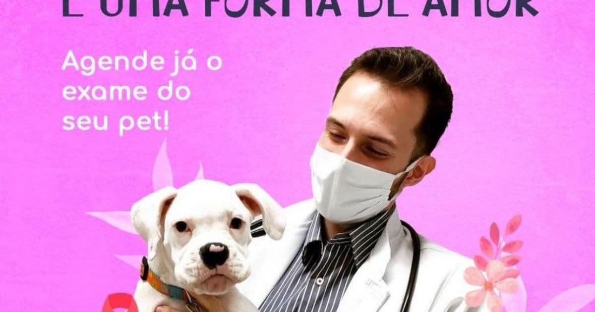 Com incidência de câncer em pets, especialistas aconselham castração no Outubro Rosa