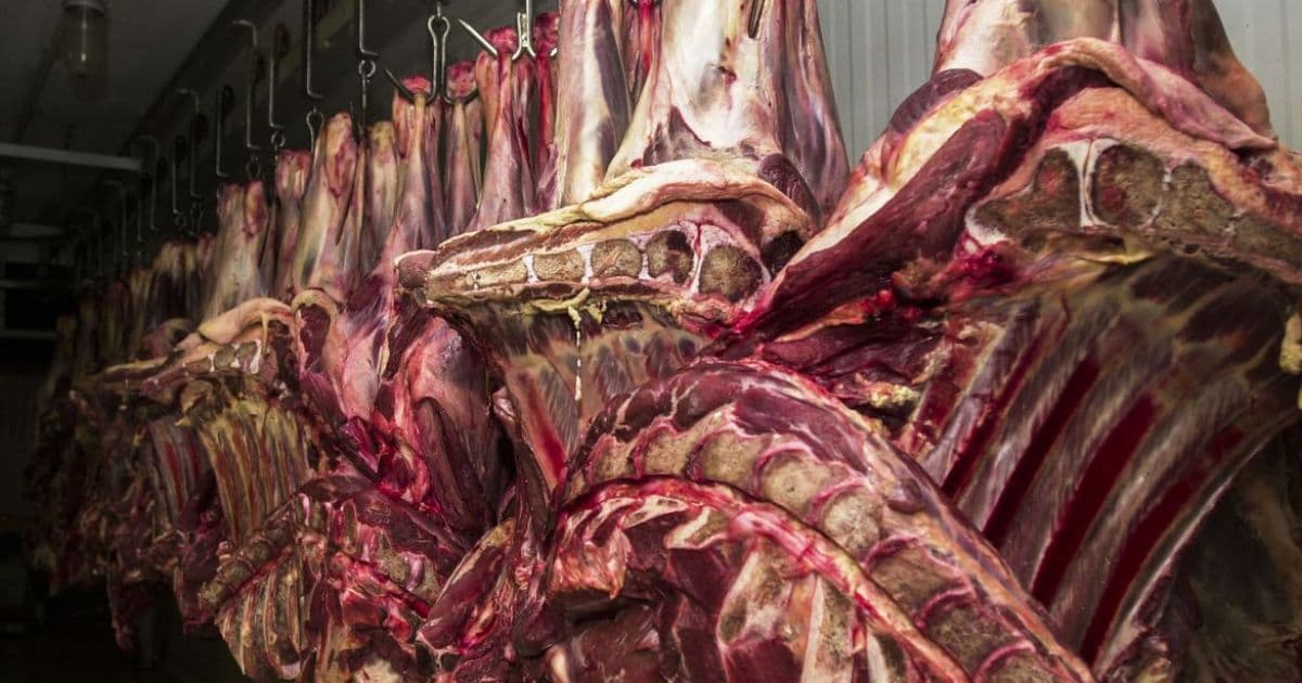 China libera entrada de carne certificada antes do embargo