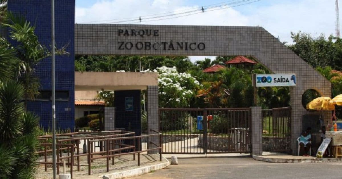Governo da Bahia lança consulta pública para concessão do Zoológico e mais dois parques