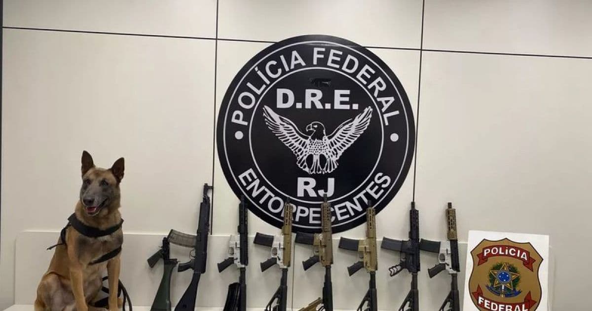 Agentes da PF prendem homem com sete fuzis no Rio de Janeiro