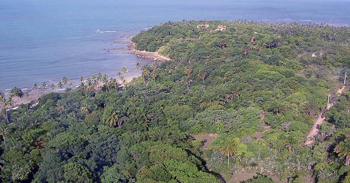 Área preservada da Mata Atlântica será ocupada por loteamento de luxo; projeto tem como sócios José Roberto Marinho e Armínio Fraga