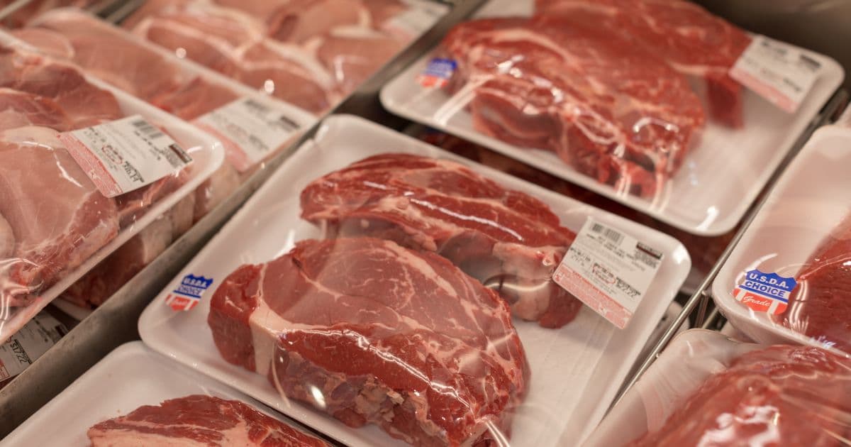 Viver Bem: Os cuidados no consumo e armazenamento das carnes