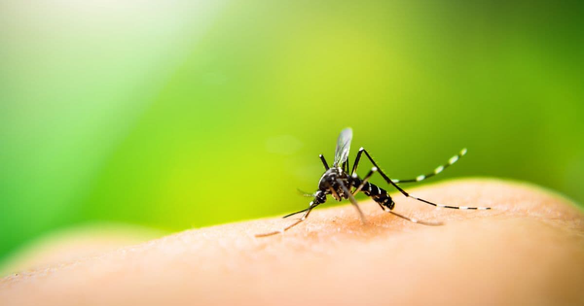 Viver Bem: Especialista alerta para prevenção de dengue e síndromes gripais