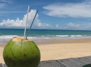 Água de coco pode evitar mau hálito