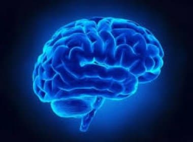 Ter cérebro maior não significa ter QI mais alto, revela estudo