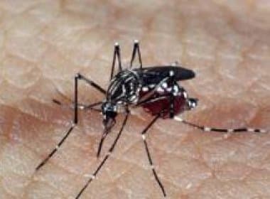 Instituto Evandro Chagas confirma primeira morte por zika vírus no Brasil