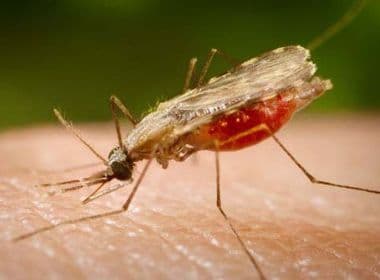 Roraima confirma 5,7 mil casos de malária no primeiro trimestre de 2018