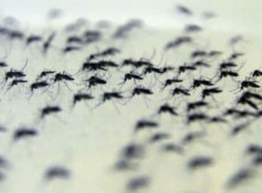 SMS realiza mutirão de combate ao Aedes aegypti no Subúrbio Ferroviário