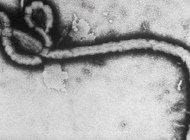 República Democrática do Congo confirma 41 mortes por ebola em novo surto