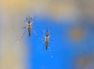Centro de Controle de Zoonoses inspeciona bairros para combate ao Aedes aegypti