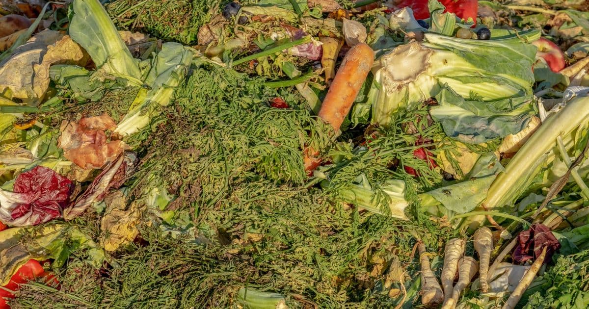 Por ano, brasileiro joga no lixo mais de 40 quilos de alimentos