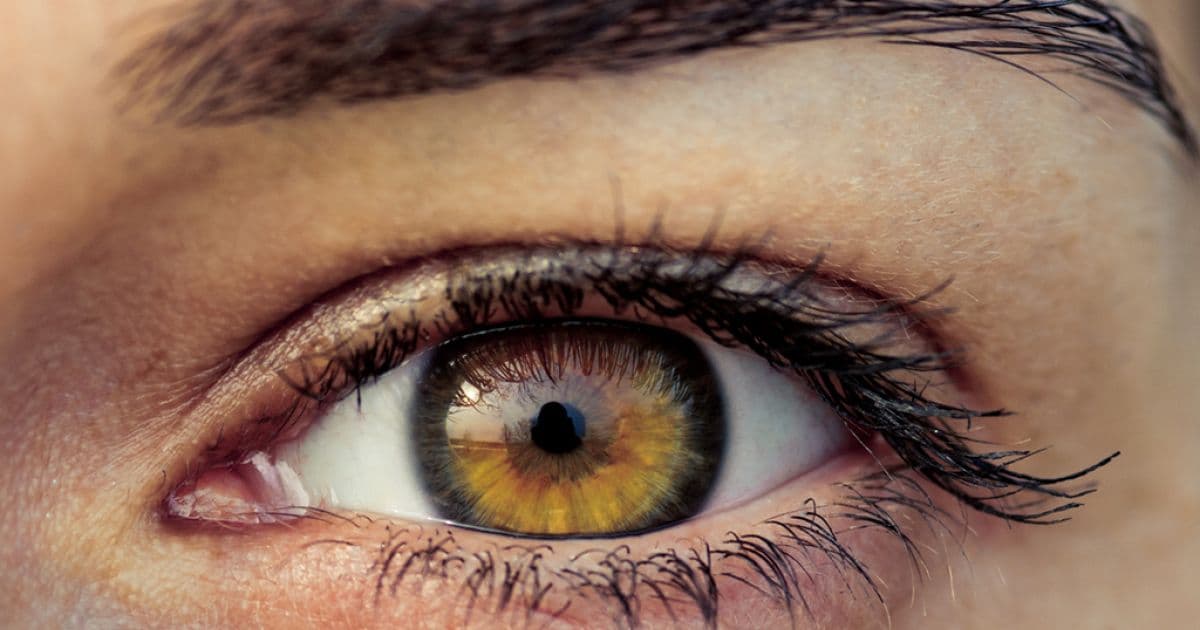 Pesquisadores criam novo meio de regenerar retina através de células-tronco 
