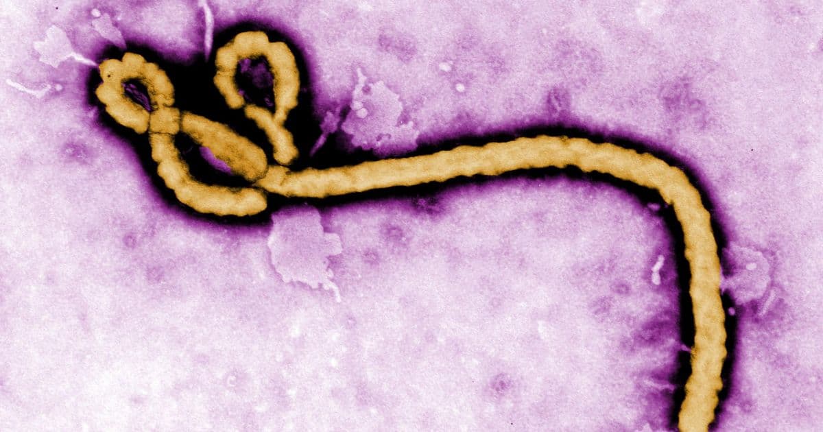 OMS comemora aprovação da primeira vacina contra vírus ebola