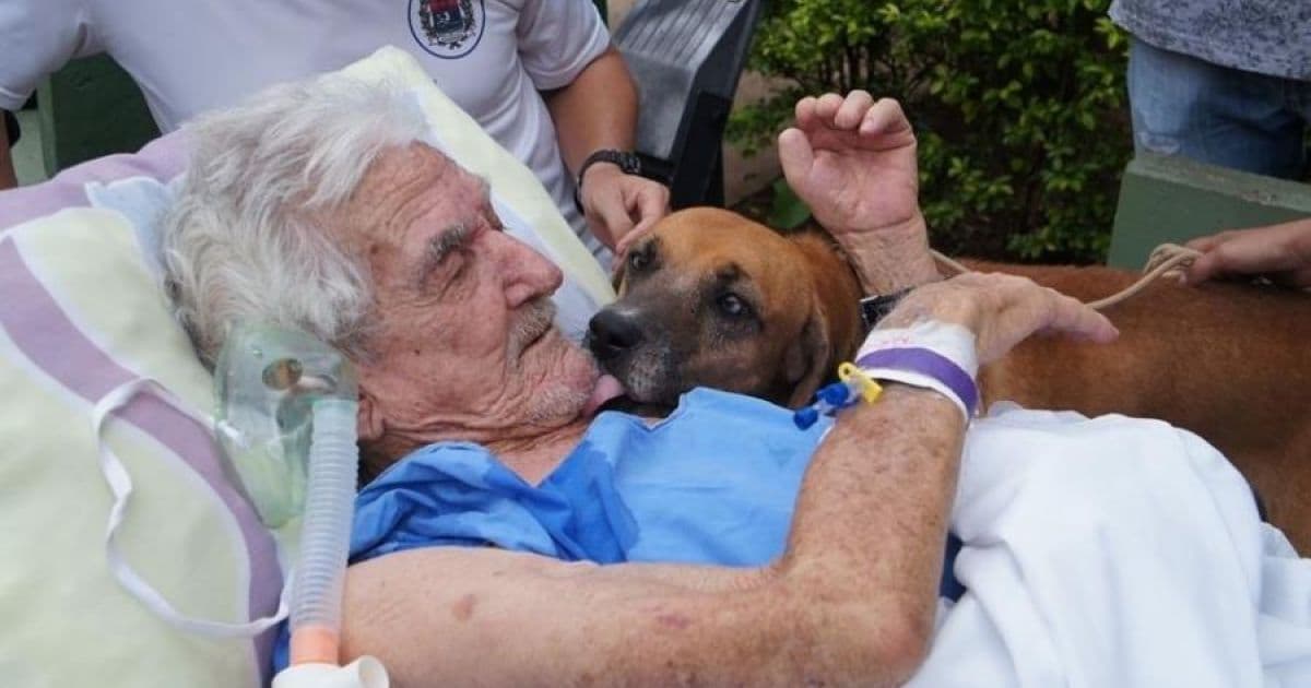 Internado há um mês, idoso recebe visita de cachorro de estimação e tem melhora clínica