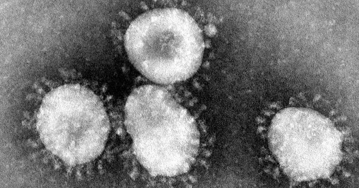Ministério da Saúde notifica dois novos casos suspeitos de coronavírus 