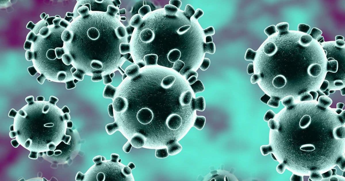 Perda total ou parcial de olfato pode indicar infecção pelo novo coronavírus