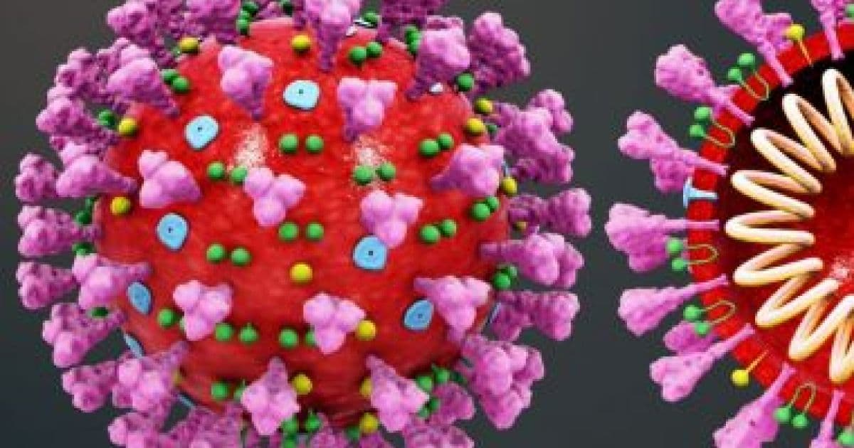 Primeira morte por coronavírus no Brasil aconteceu dia 12 de março, diz MS