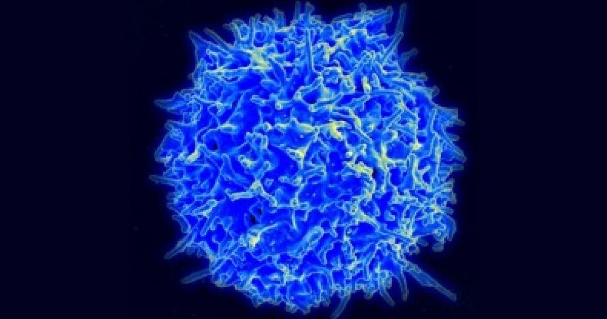 Imunidade em perigo:  Novo coronavírus pode infectar e matar linfócitos, diz pesquisa